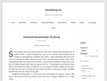Tablet Screenshot of davidstang.com